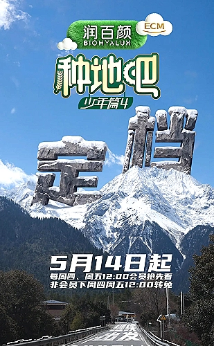 食神·百厨大战